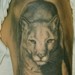 tattoo galleries/ - Black and Gray Puma Tattoo